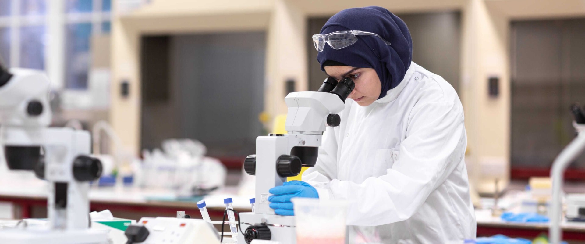 Biochemistry Tutoring: An Extensive Overview